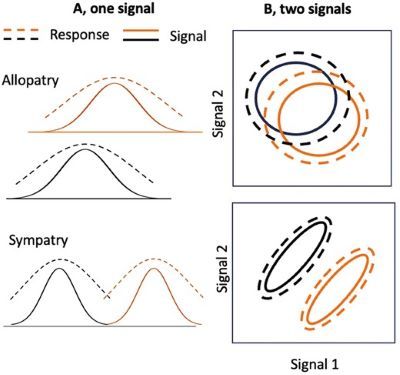 Conceptual view of divergence of signals in a restrictive environment in allopatry (above), followed by sympatry (below).