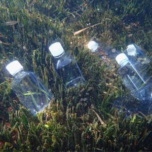 Bottles in seagrass off the coast of Ischia, Italy