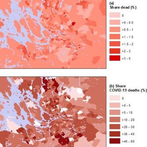 A figure from the paper entitled &quot;Evidence of COVID-19 fatalities in Swedish neighborhoods from a full population study.&quot;