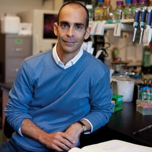 Professor Joe Thornton