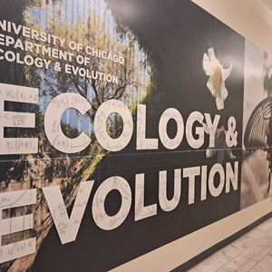 Department of Ecology &amp; Evolution